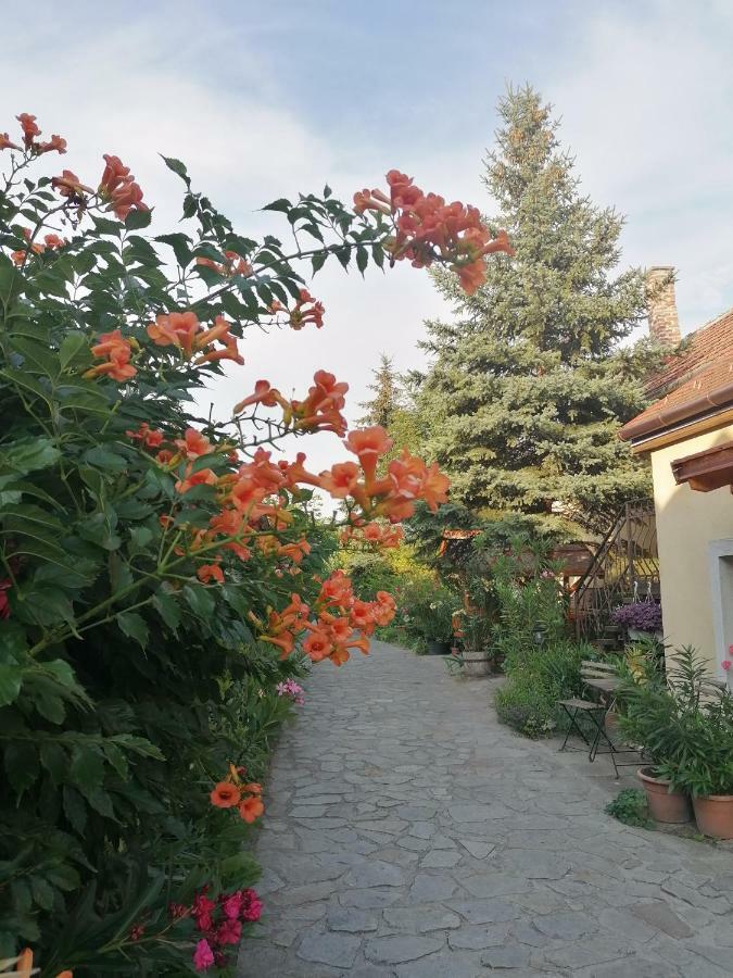 Bed and Breakfast Szentesi Panzio Fertőrákos Exteriér fotografie